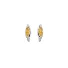 bri heliconia p citrino prata ind