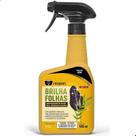 Brilha Folhas Spray 500ml Pronto Uso Realça o Brilho das Folhas, Protege Contra Pragas e Nutre Plantas