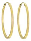 Brinco Argola 14 Mm Em Ouro 18k 750 Dourado