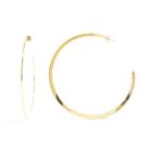 Brinco Argola Grande Achatada Banhada