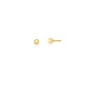 Brinco Banhado a Ouro Kids Tarracha Baby 2MM