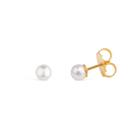 Brinco Dourado Classico de Pérola Brinco Dourado Classico de Pérola
