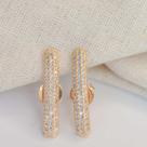 Brinco Ear Hook Com Zircônia
