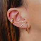 Brinco Ear Hook