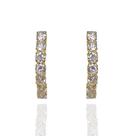 Brinco Ear Hook Zircônia 4mm Banho Ouro