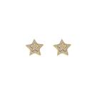 Brinco Estrela 14mm Cravejado Zircônias Prata Banhada a Ouro 18K