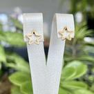 Brinco Estrela Referência 08.4819 Dourado