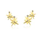 Brinco Estrelas Mulher Maravilha Revestida em Ouro
