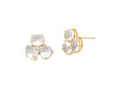 Brinco Flor com Cristais Incolor Banhado a Ouro - Zircônias