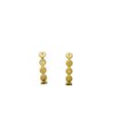 Brinco Folheado Ear Hook Florzinha