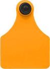 Brinco grande liso laranja C/25 - ALLFLEX Brinco grande liso laranja C/25 - ALLFLEX