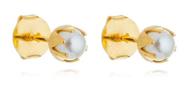 Brinco Jaqueline Pérola Rococó Pequeno Banhado em ouro 18k Brinco Jaqueline Pérola Rococó Pequeno Banhado em ouro 18k