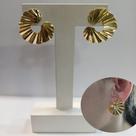 Brinco Orgânico Argola Semijoia Banhadaouro 18k Antialérgico
