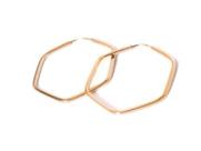Brinco Ouro 18k Argola Sextavada