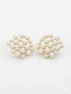 Brinco per shell fol ouro Brinco per shell fol ouro