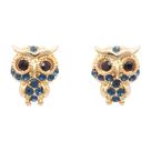 Brinco Strass Coruja BC2534