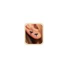 Brincos BSGRL Flat Back Stud Flying Dragon Black para mulheres