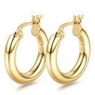 Brincos de argola Besteel em prata esterlina 925 preenchida com ouro 14 quilates