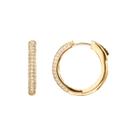 Brincos de argola PAVOI banhados a ouro 14K em prata esterlina 925