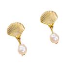 Brincos De Verão Femininos Com Estrela-do-mar, Pérolas Falsas E Franjas, Joias Minimalistas Para Brincos De Verão Femininos Com Estrela-do-mar, Pérolas Falsas E Franjas, Joias Minimalistas Para