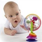 Brinquedo Brinquedo Roda Sensorial Rodinha Giratória Com Ventosa Brinquedo Brinquedo Roda Sensorial Rodinha Giratória Com Ventosa