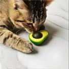 Brinquedo Catnip Estímulo Felino Bolinha Osso Lamber Gato Abacate Pelúcia Mordedor Dente Fruta