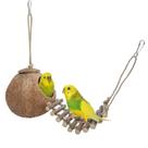 Brinquedo Coconut Hideaway Niteangel para pássaros e animais pequenos
