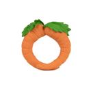 Brinquedo de borracha natural Teether Oli e Carol Cathy The Carrot