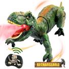 Brinquedo de dinossauro Richgv com controle remoto Tyrannosaurus Rex 3-7 anos