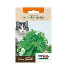 Brinquedo de Erva de Gatos Catnip 500 sementes