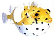 Brinquedo de pelúcia Adore Fugu The Porcupine Pufferfish 30cm Brinquedo de pelúcia Adore Fugu The Porcupine Pufferfish 30cm