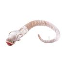 Brinquedo de pelúcia Alien Face Hugging Bug Chestbreaker Predator Anime