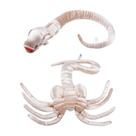 Brinquedo de pelúcia Aliens Predators Xenomorphs Chesbursters 2 unidades/lote