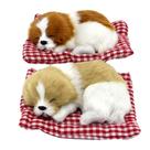 Brinquedo de pelúcia Coolayoung Sleeping Dogs em almofada com som de madeira de 18 cm