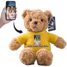 Brinquedo de pelúcia de urso de pelúcia personalizado 33 cm