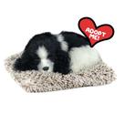 Brinquedo de pelúcia Perfect Petzzz Mini Cocker Spaniel 11x8x4 cm
