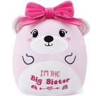 Brinquedo de pelúcia SEAOPOP Big Sister Bear 20 cm com laço rosa para meninas Brinquedo de pelúcia SEAOPOP Big Sister Bear 20 cm com laço rosa para meninas