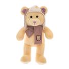 Brinquedo de pelúcia Shxx Newborn Baby Cartoon Bear com chapéu de 30 cm