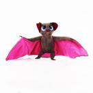Brinquedo de pelúcia Vampire Bat Drácula Transformation Brown 45 cm