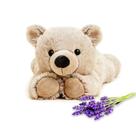 Brinquedo de pelúcia Warmies Brown Bear, para micro-ondas, com aroma de lavanda