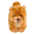 Brinquedo de pelúcia Whrigud Realistic Chow Chow Brown 25 cm para crianças Brinquedo de pelúcia Whrigud Realistic Chow Chow Brown 25 cm para crianças