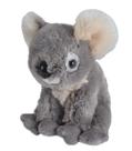 Brinquedo de pelúcia Wild Republic Koala Cuddlekins de 20 cm para crianças