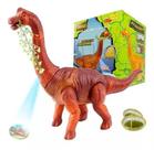 Brinquedo Dinossauro Braquiossauro Bota Ovo Anda Som E Projeta Imagem