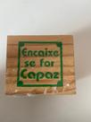 Brinquedo encaixe se for capaz