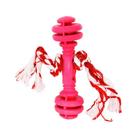 Brinquedo Furacão Pet Halteres de Borracha Maciça Vermelho com Corda para Cães