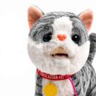 Brinquedo Gatinho Interativo De Pelúcia Anda Mia Com Guia Infantil Modelos Sortidos