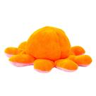 Brinquedo Infanitl Polvo Bipolar Reversível Cores Sortidas BBR Toys