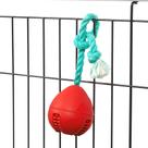 Brinquedo interativo para cães Fossa Crate Training Aid com corda