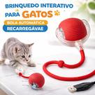 Brinquedo Interativo Para Gatos Bola Automática Recarregável Brinquedo Interativo Para Gatos Bola Automática Recarregável