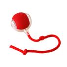 Brinquedo Interativo para Gatos Resistente Ideal para Gasto de Energia e Diversão Brinquedo Interativo para Gatos Resistente Ideal para Gasto de Energia e Diversão